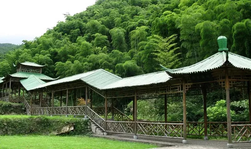 安吉中国大竹海景区成人票卧虎藏龙拍摄地