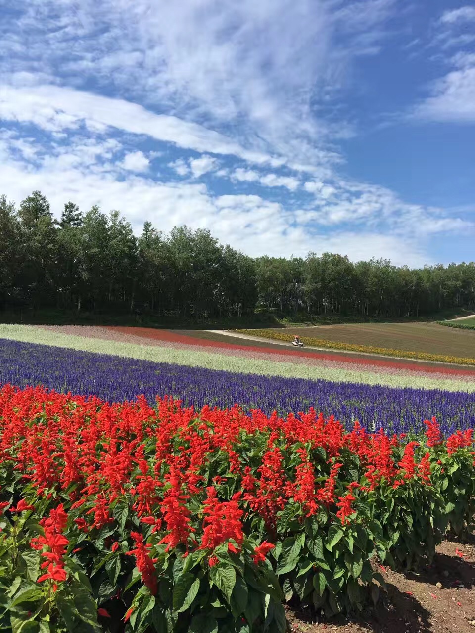 北海道自助遊攻略