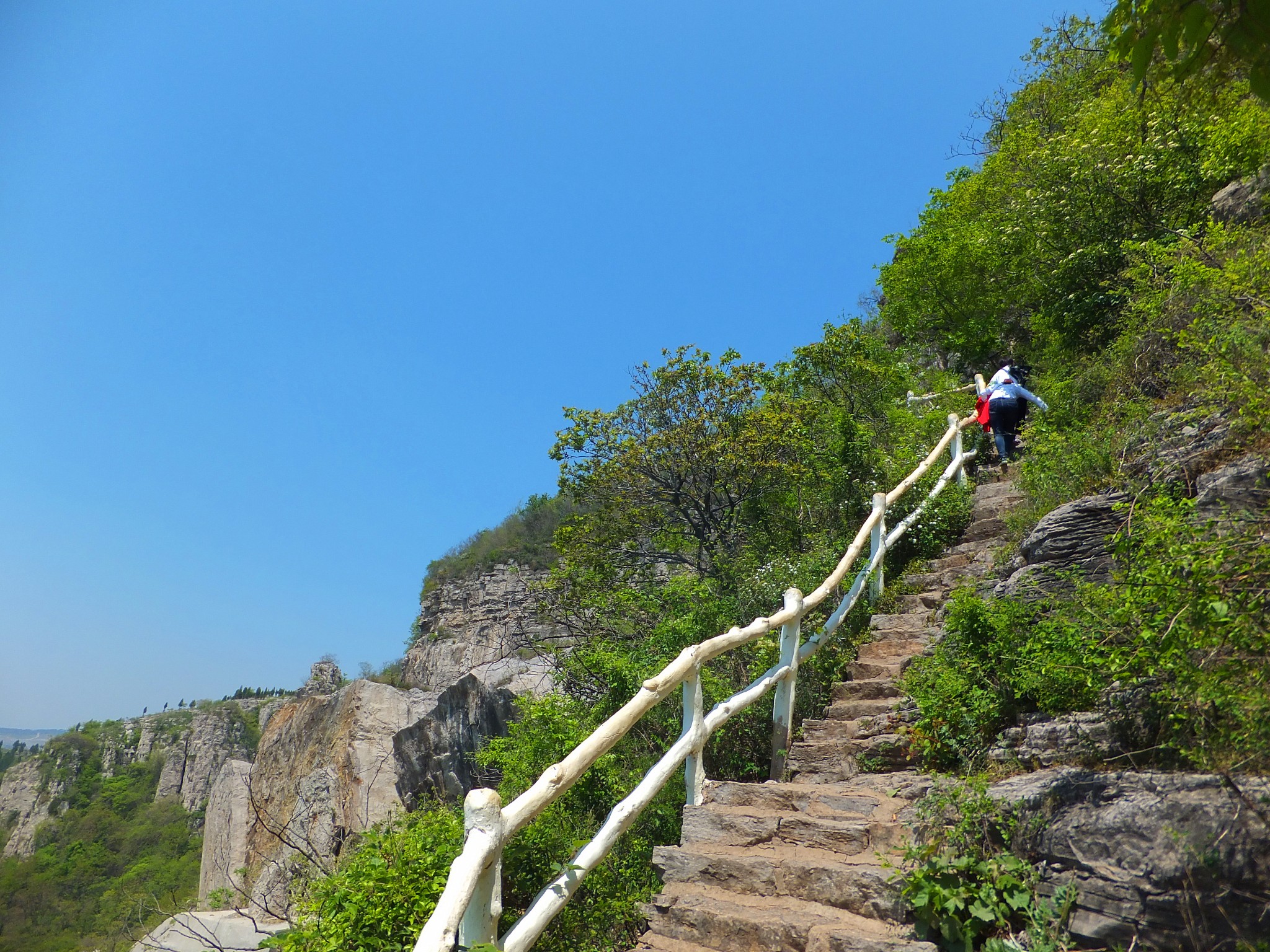 棗莊獨特自然景觀—抱犢崮,熊耳山大裂谷圖片119,棗莊旅遊景點,風景