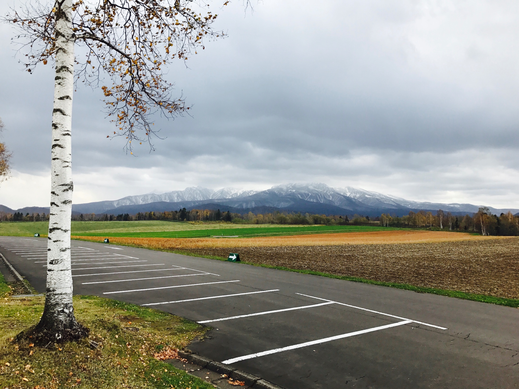 北海道自助遊攻略