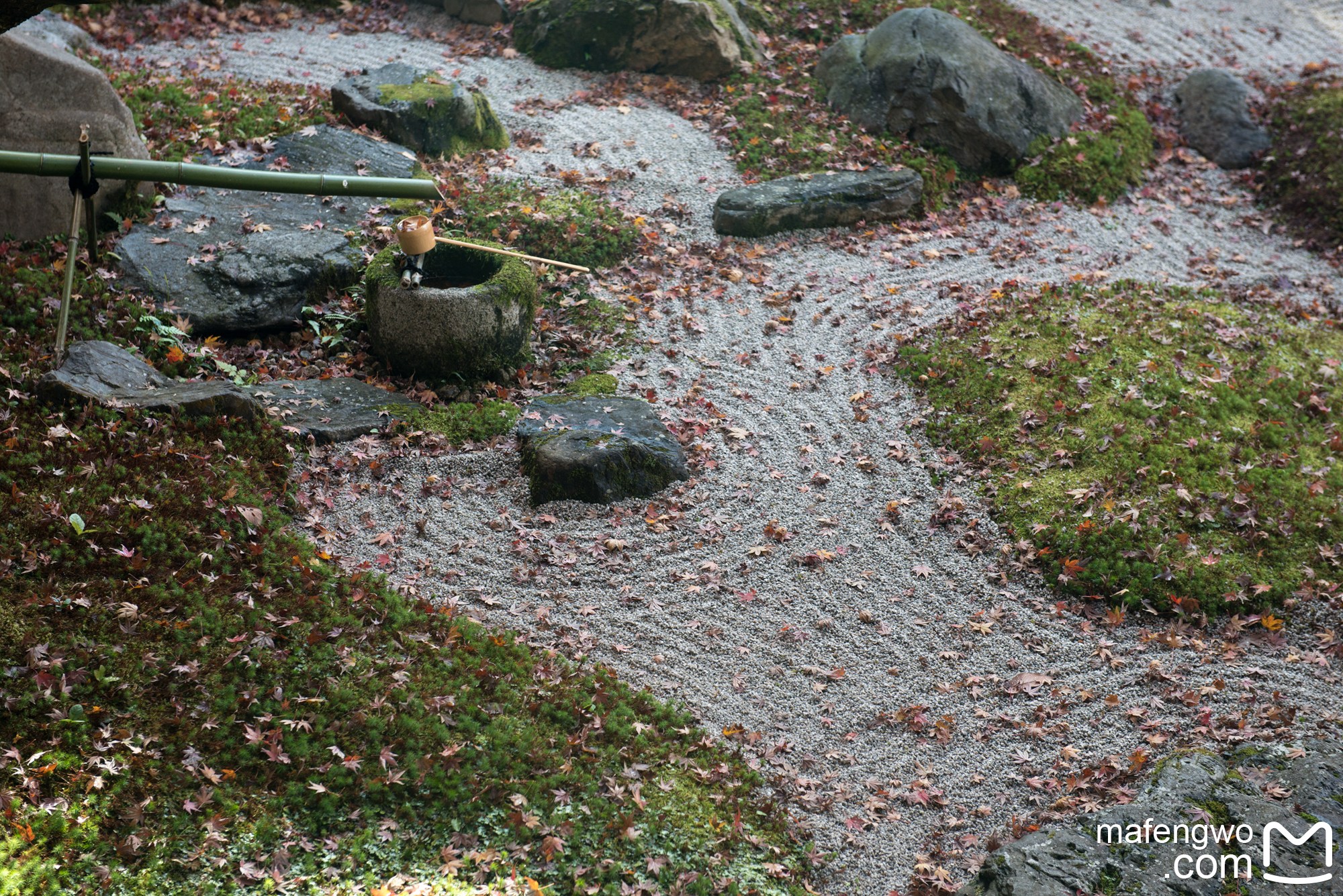 京都自助遊攻略