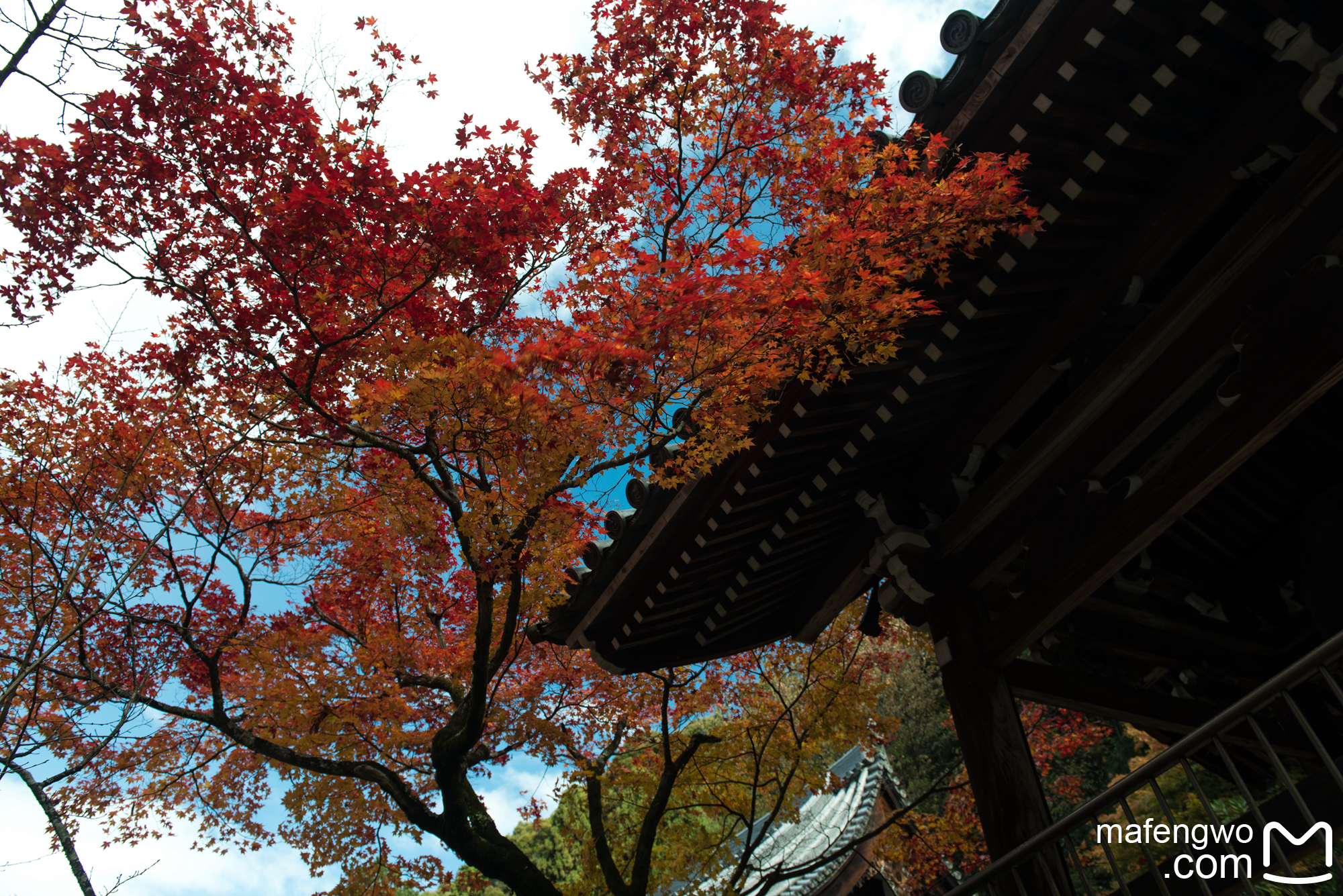 京都自助遊攻略