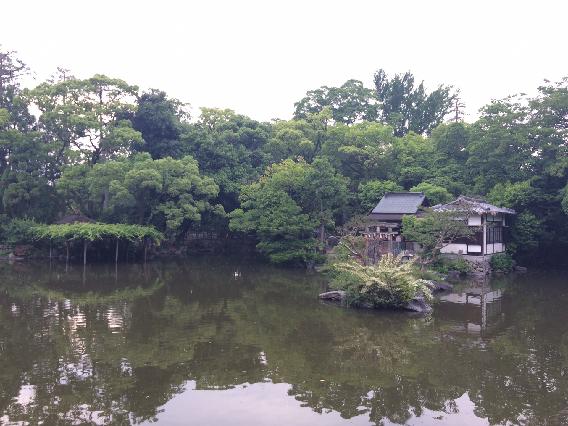 京都自助遊攻略