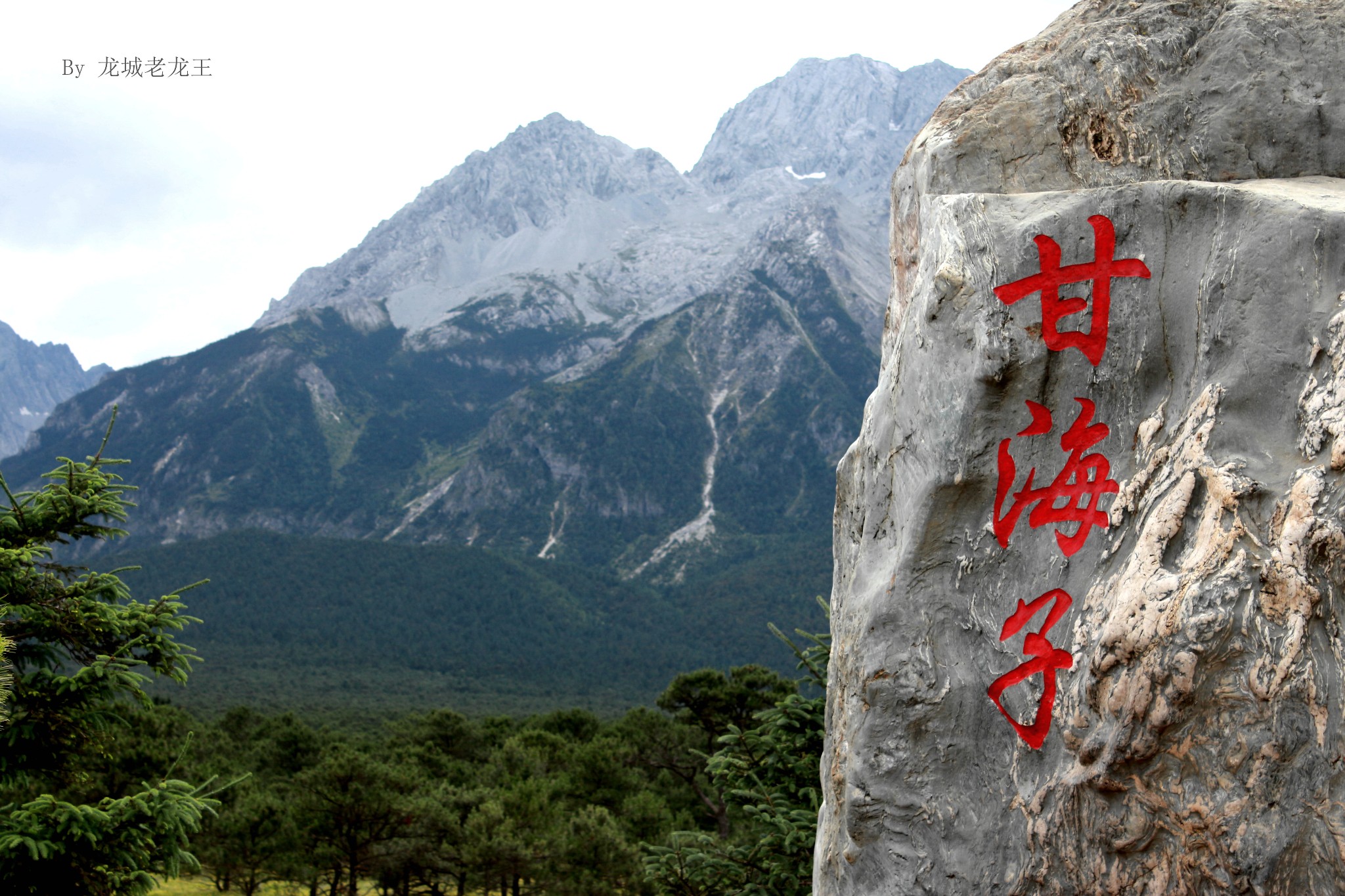 白水有多少人口_我家有白水喜图片