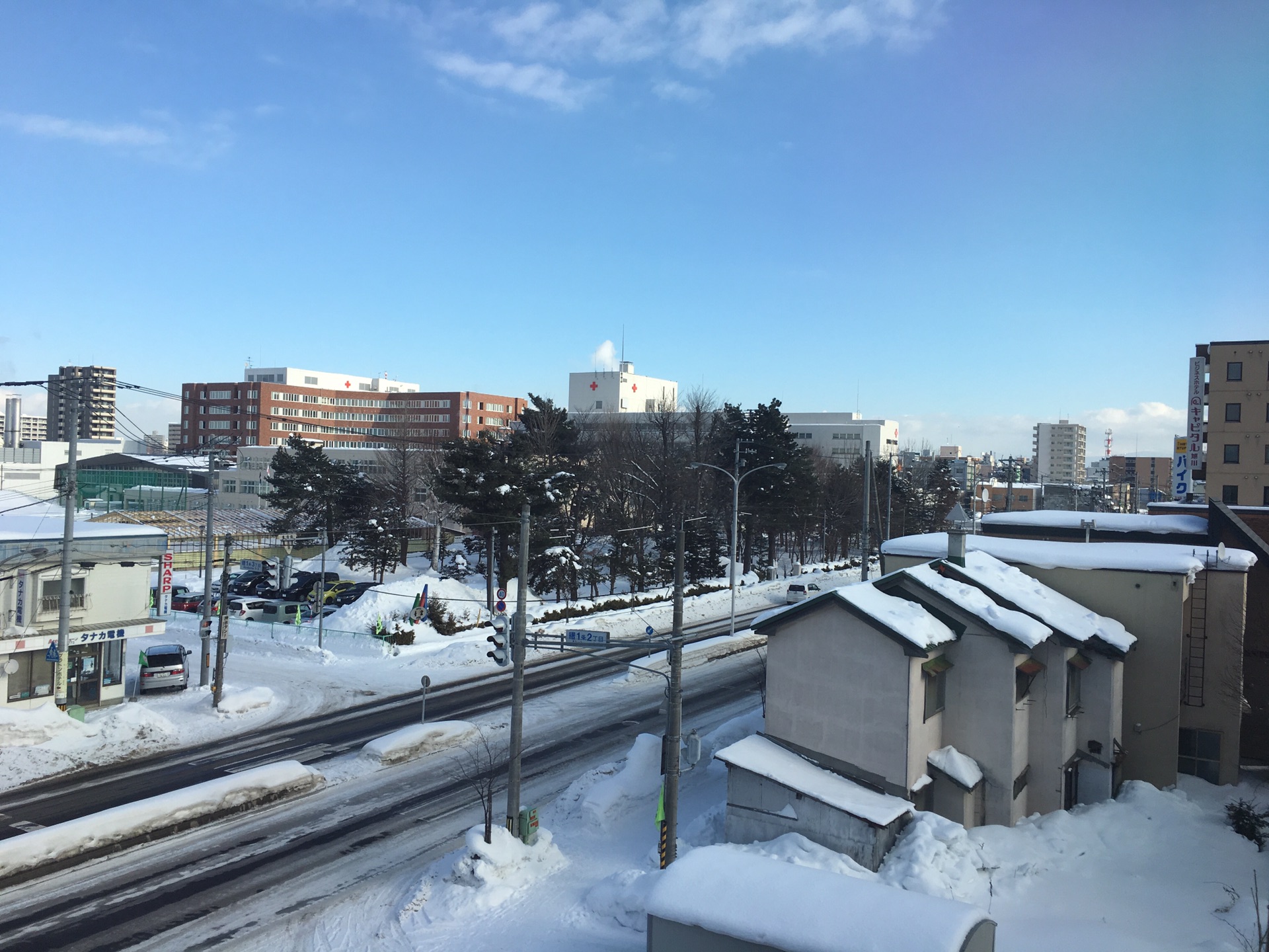 北海道自助遊攻略