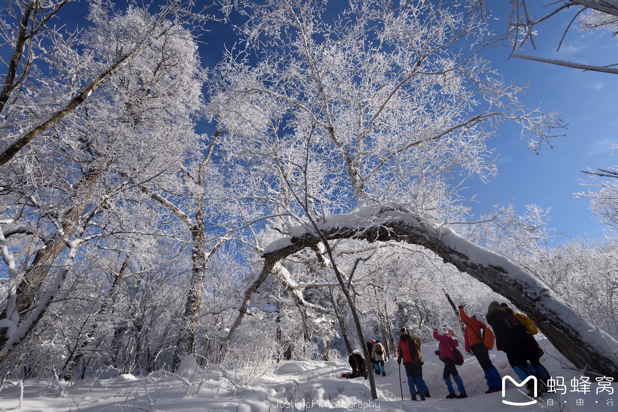 雪鄉自助遊攻略