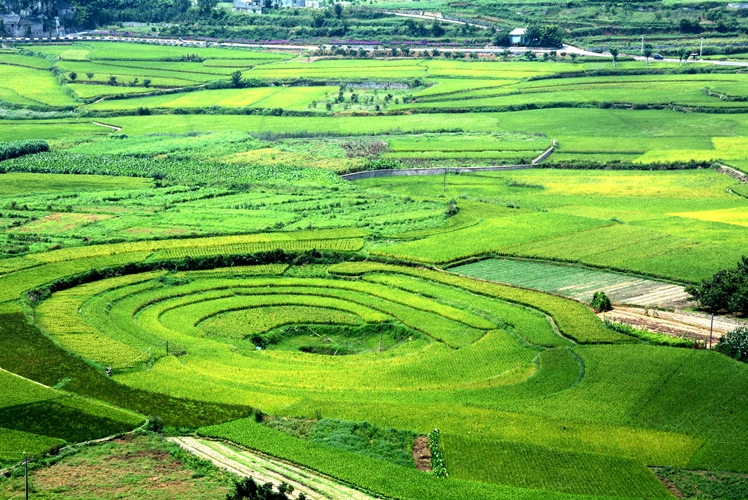 万峰林 万峰林的天坑