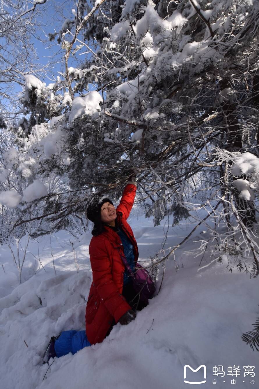 雪鄉自助遊攻略