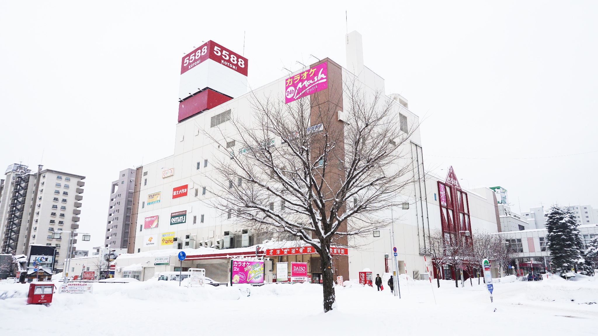 北海道自助遊攻略