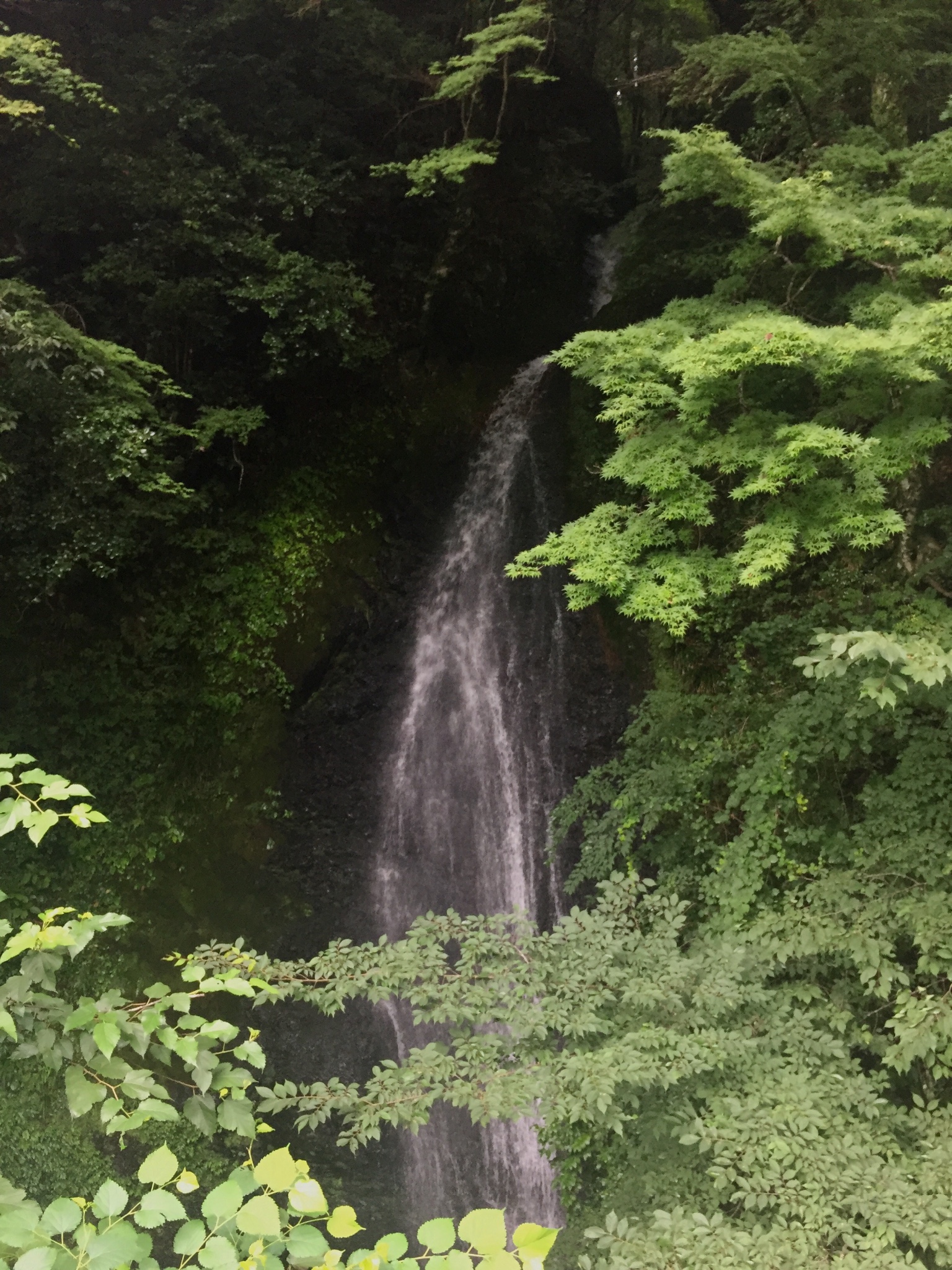 名古屋自助遊攻略