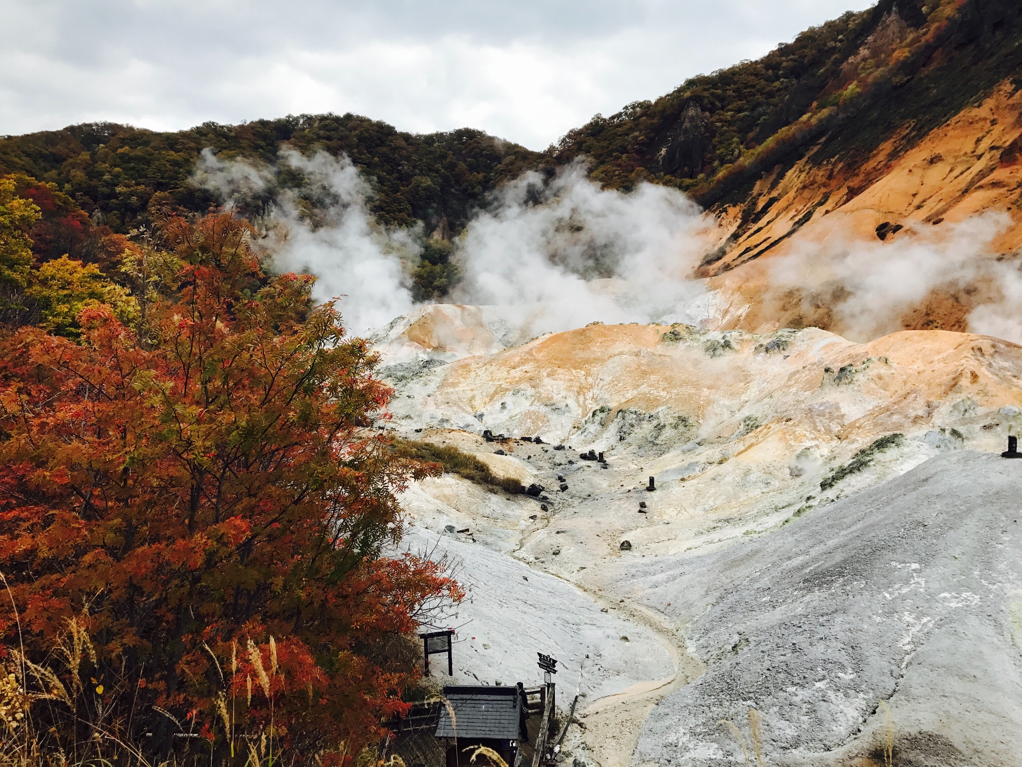 北海道自助遊攻略