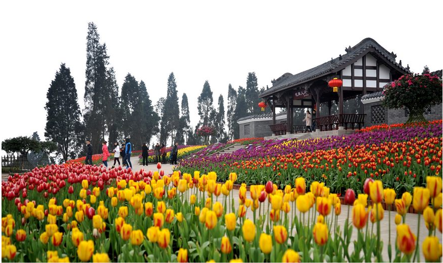 成都花舞人間景區門票(立即生效)