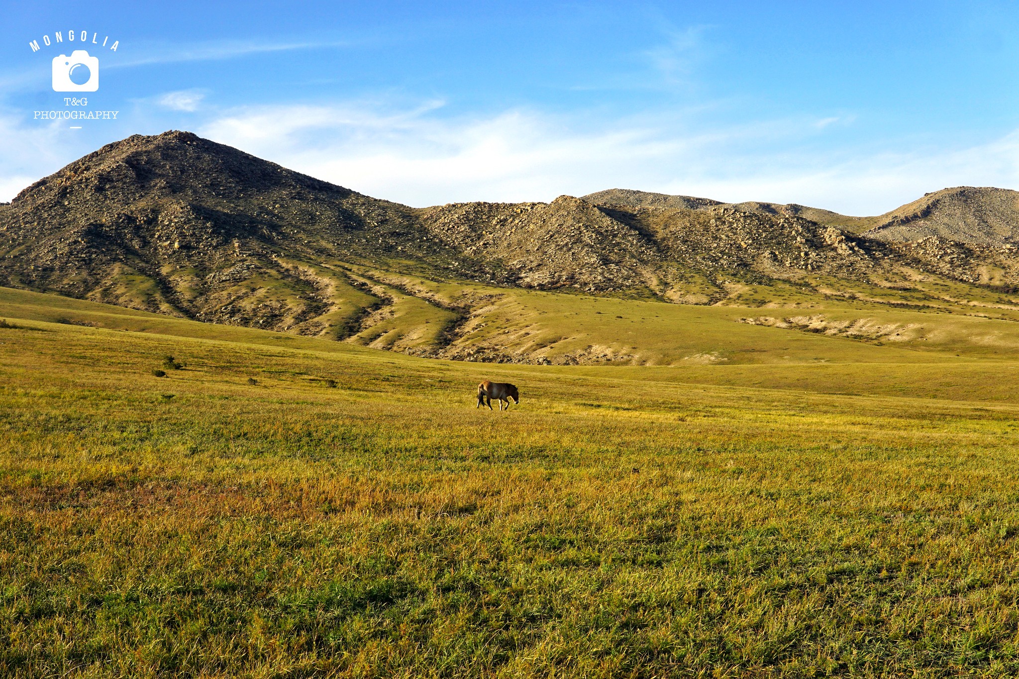 蒙古族风景图片大全图片