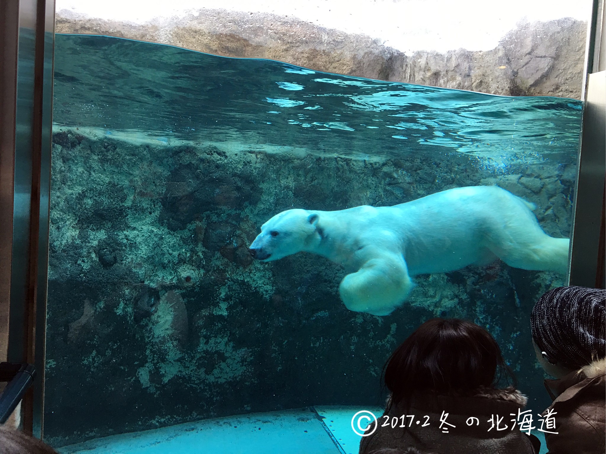 北海道自助遊攻略