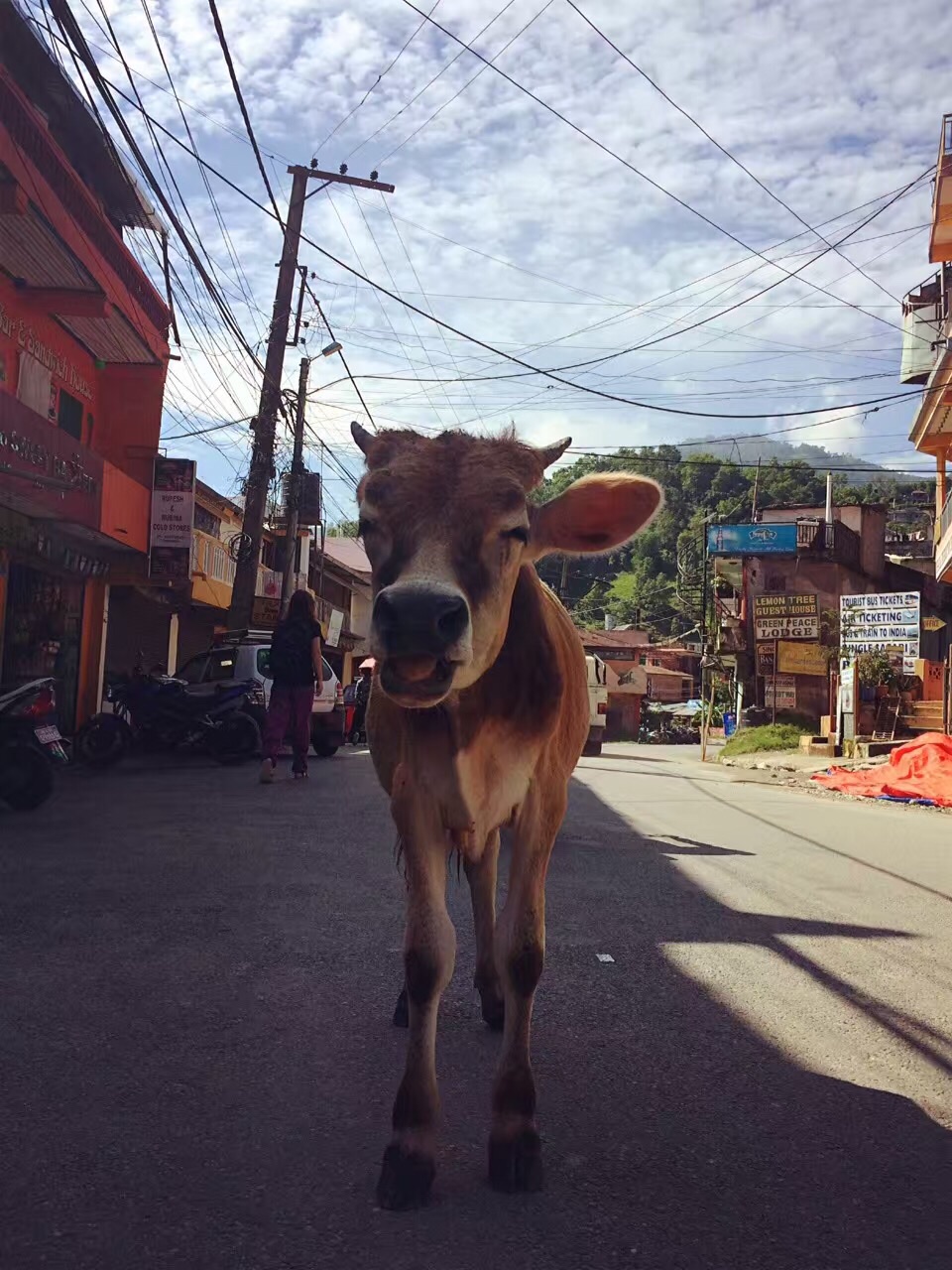 尼泊爾自助遊攻略