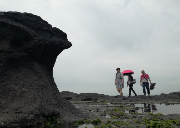 漳浦火山岛地质公园图片