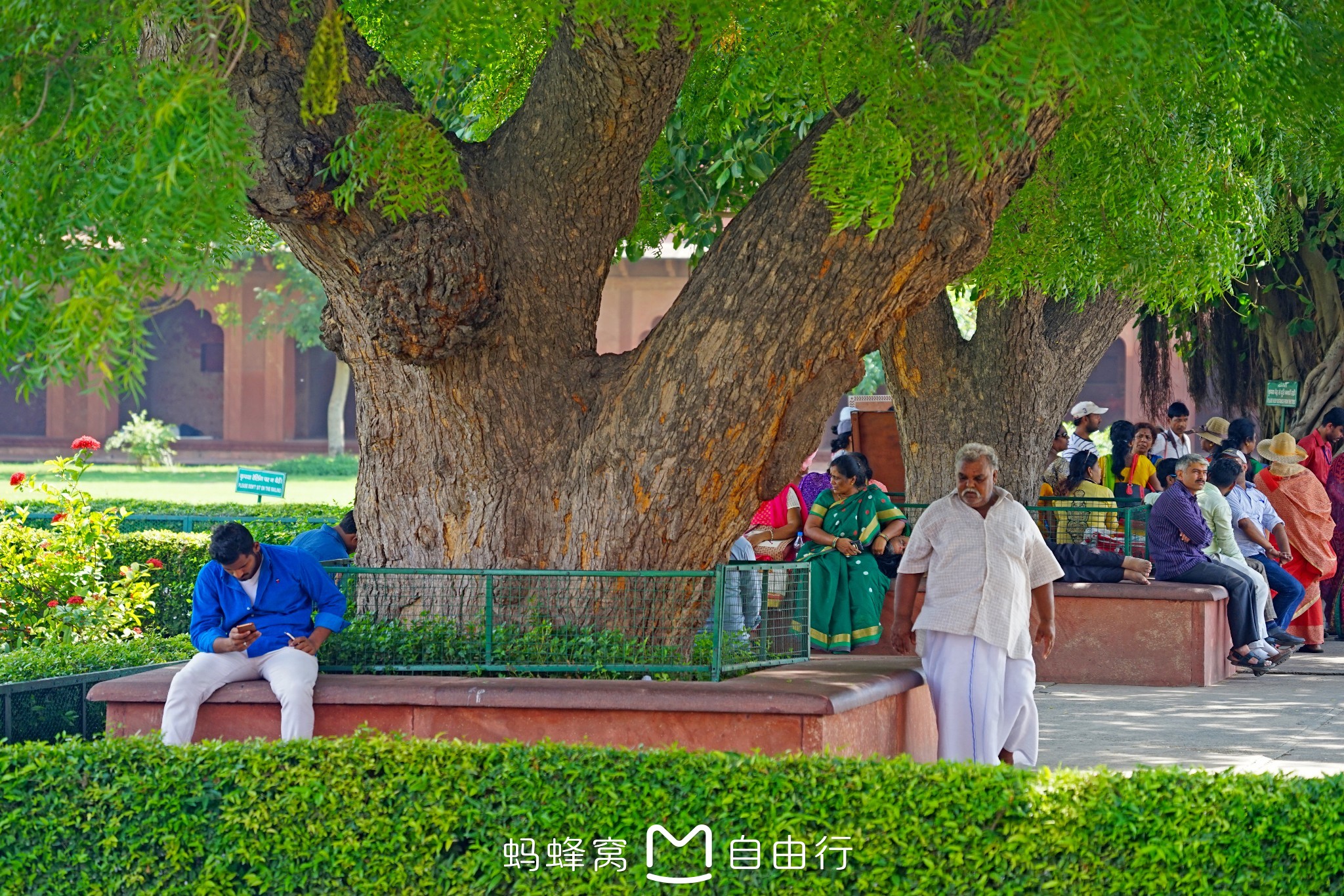 印度自助遊攻略
