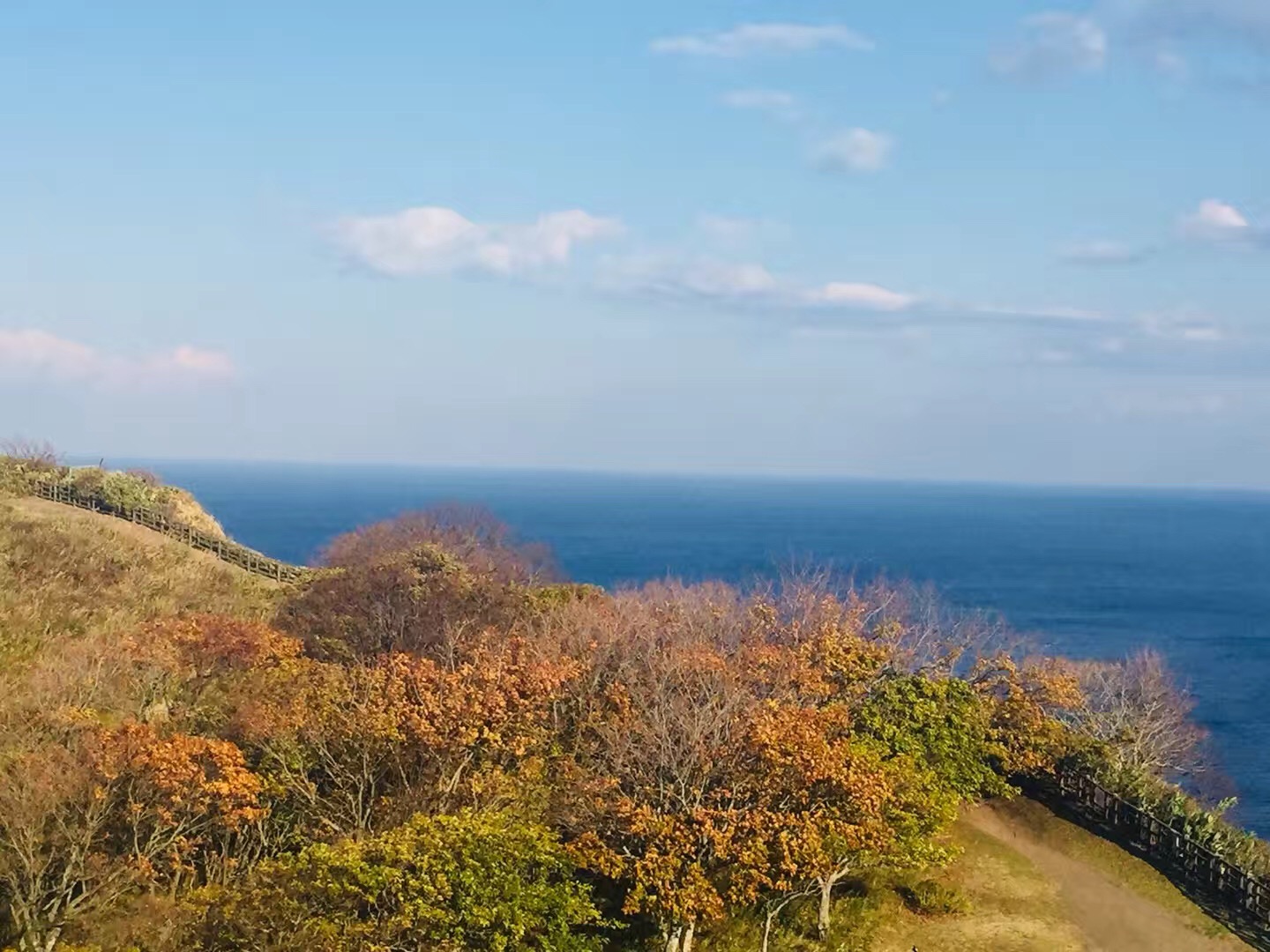 北海道自助遊攻略