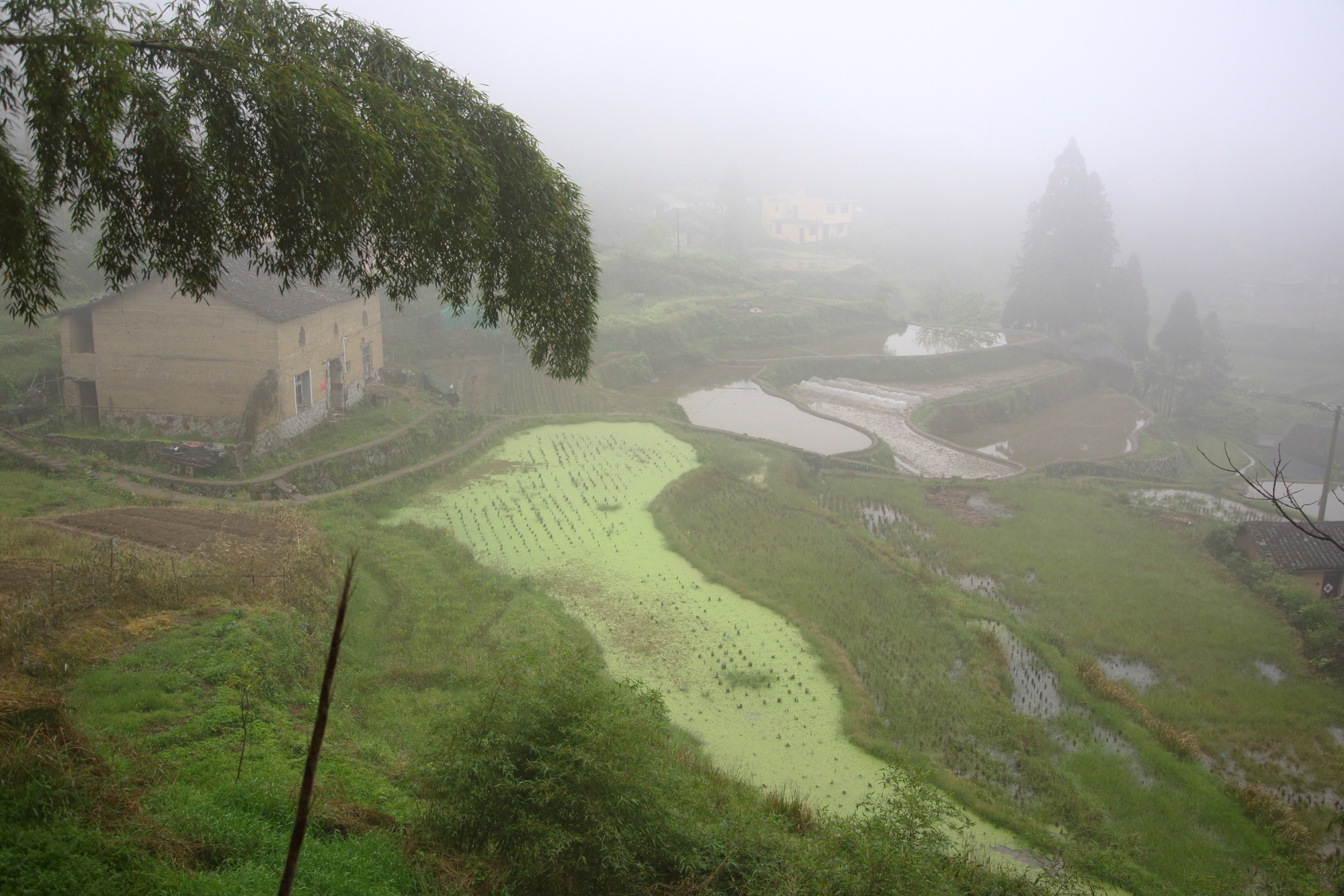 雲和自助遊攻略