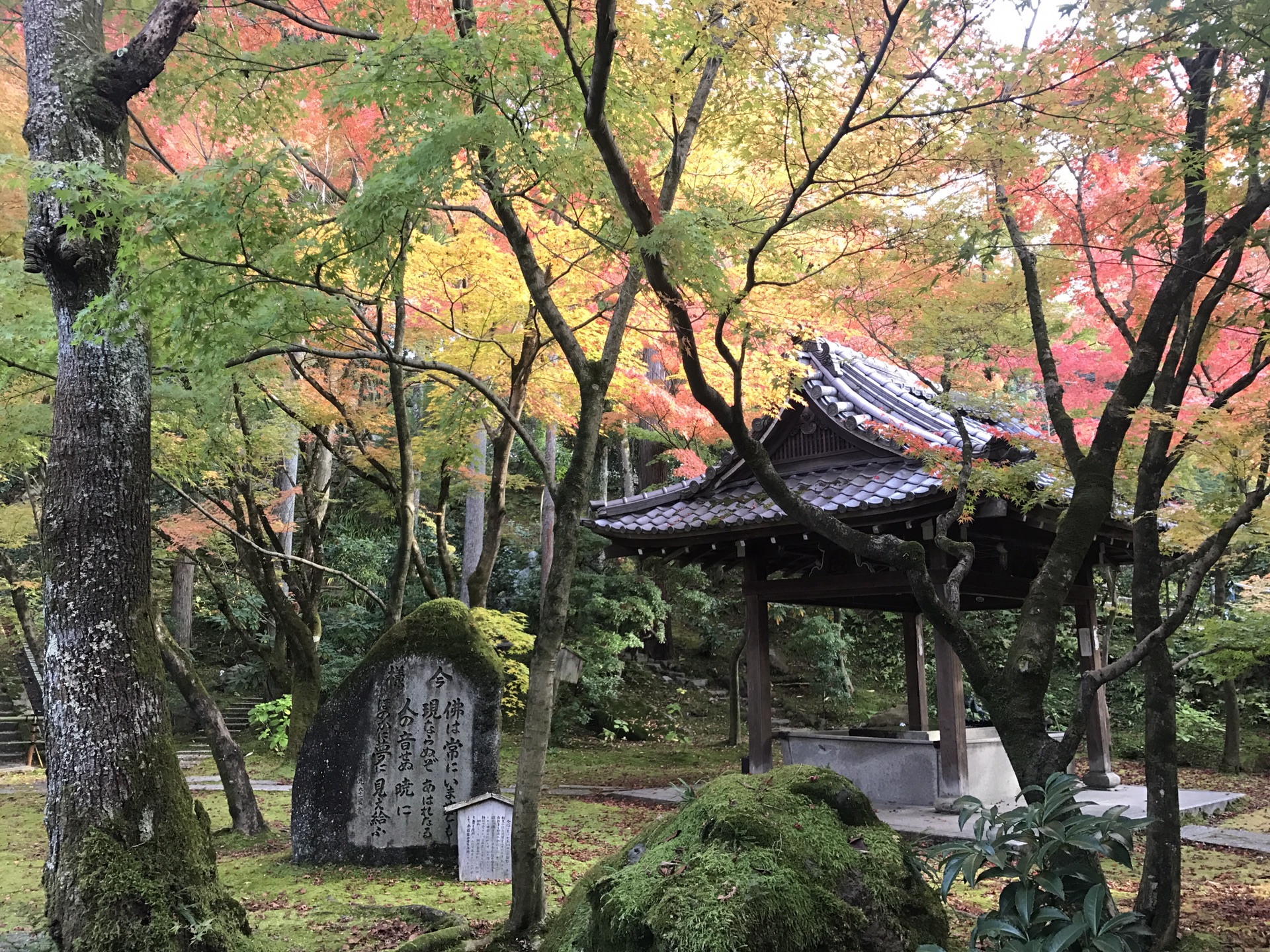 京都自助遊攻略