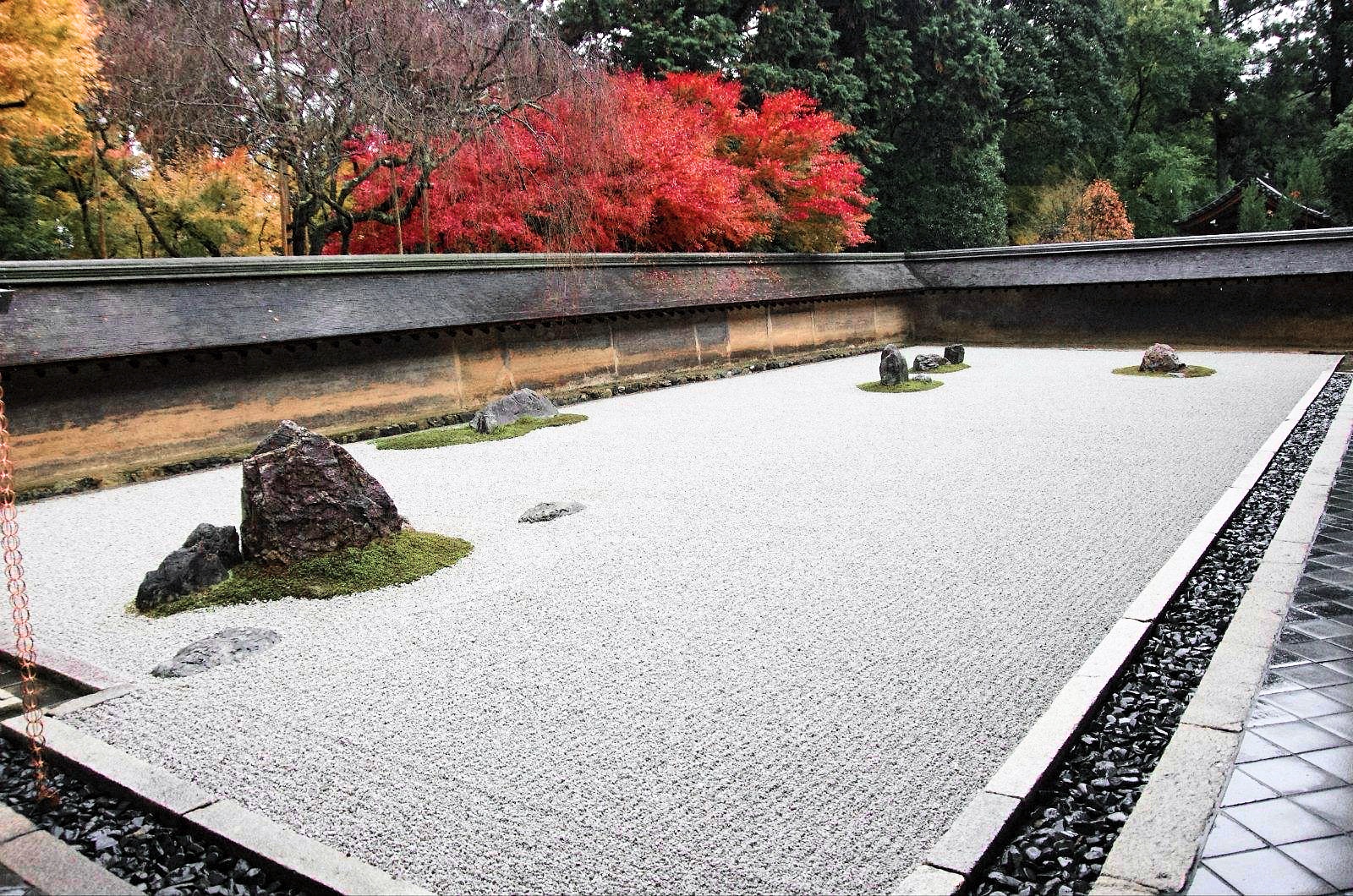 京都赏枫中文包车一日游(金阁寺 龙安寺 天龙寺 岚山竹林 嵯峨野观光