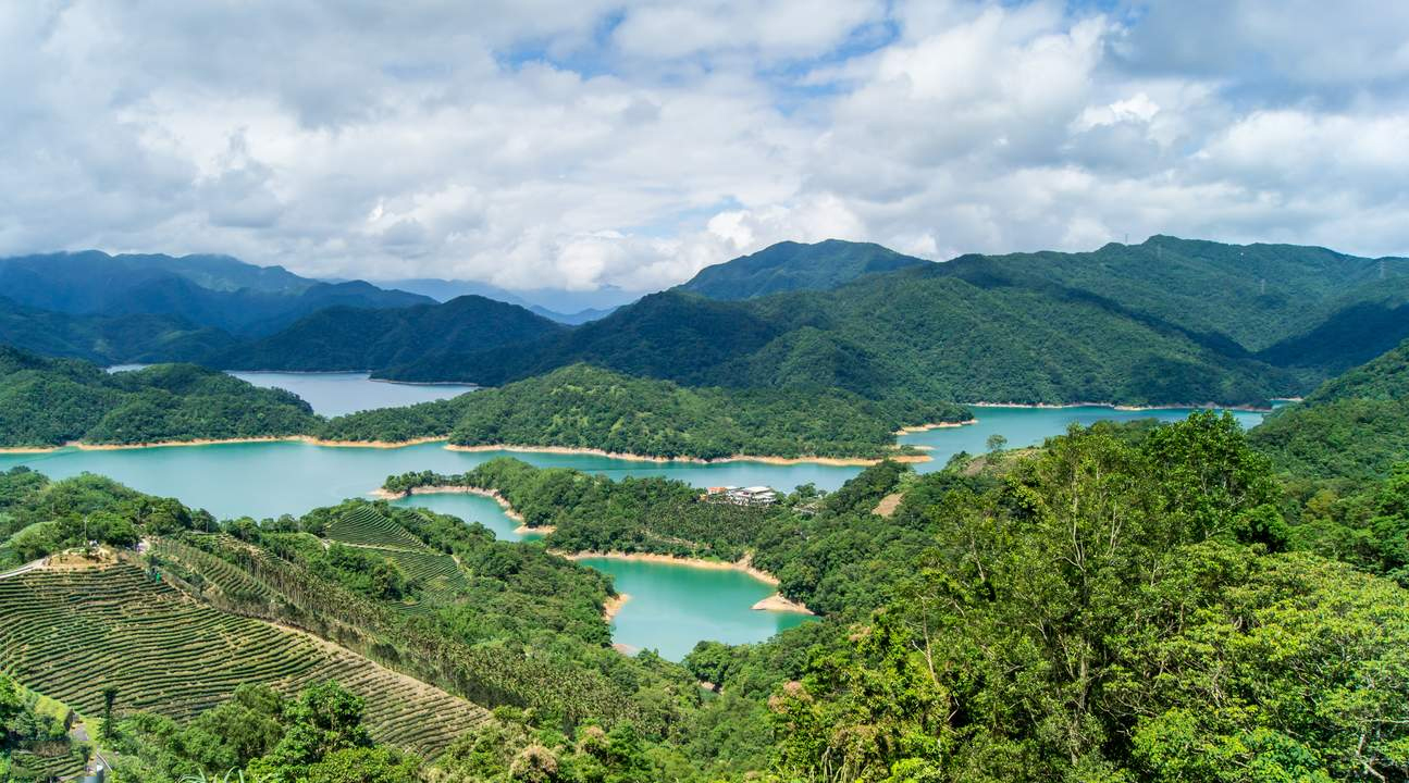 臺灣 臺北石碇千島湖/八卦茶園茶鄉秘境探索(品名產烏龍茶 眺覽茶園