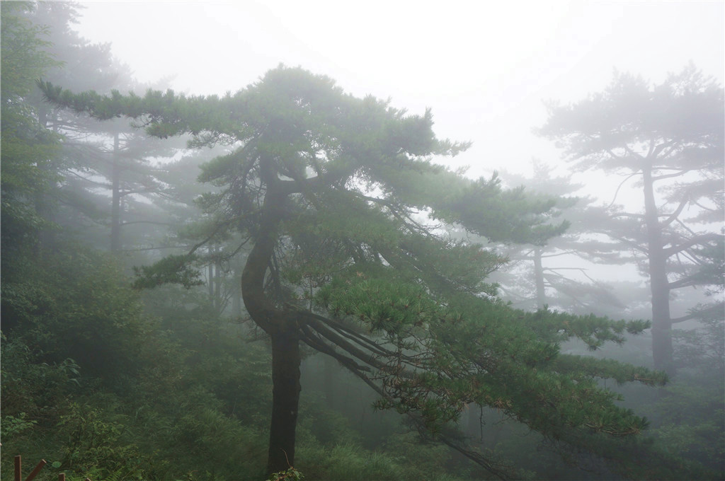 黃山自助遊攻略