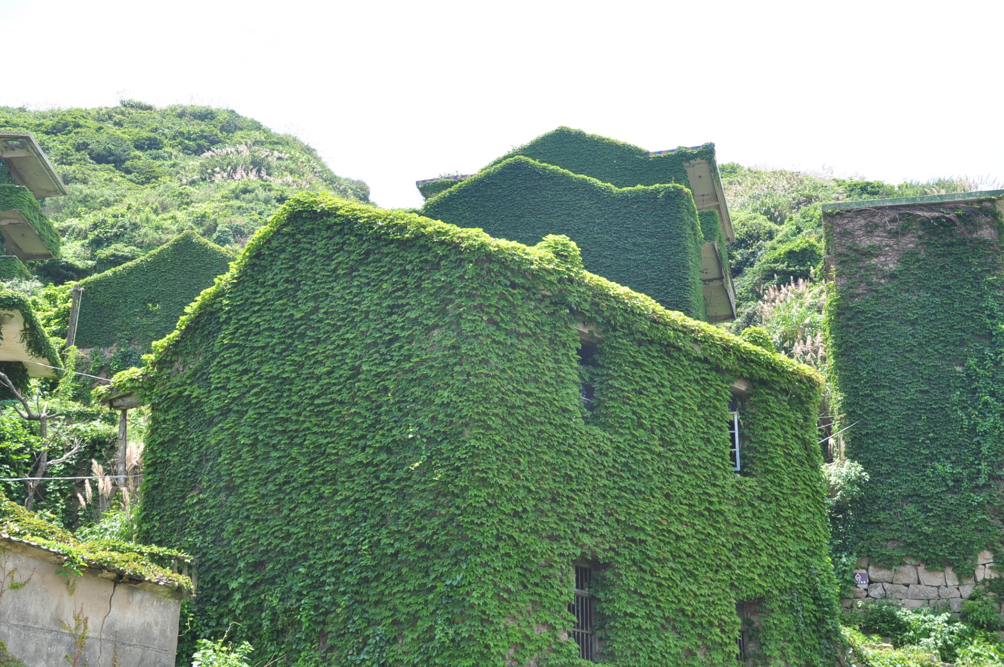 枸杞岛人均_枸杞岛(3)