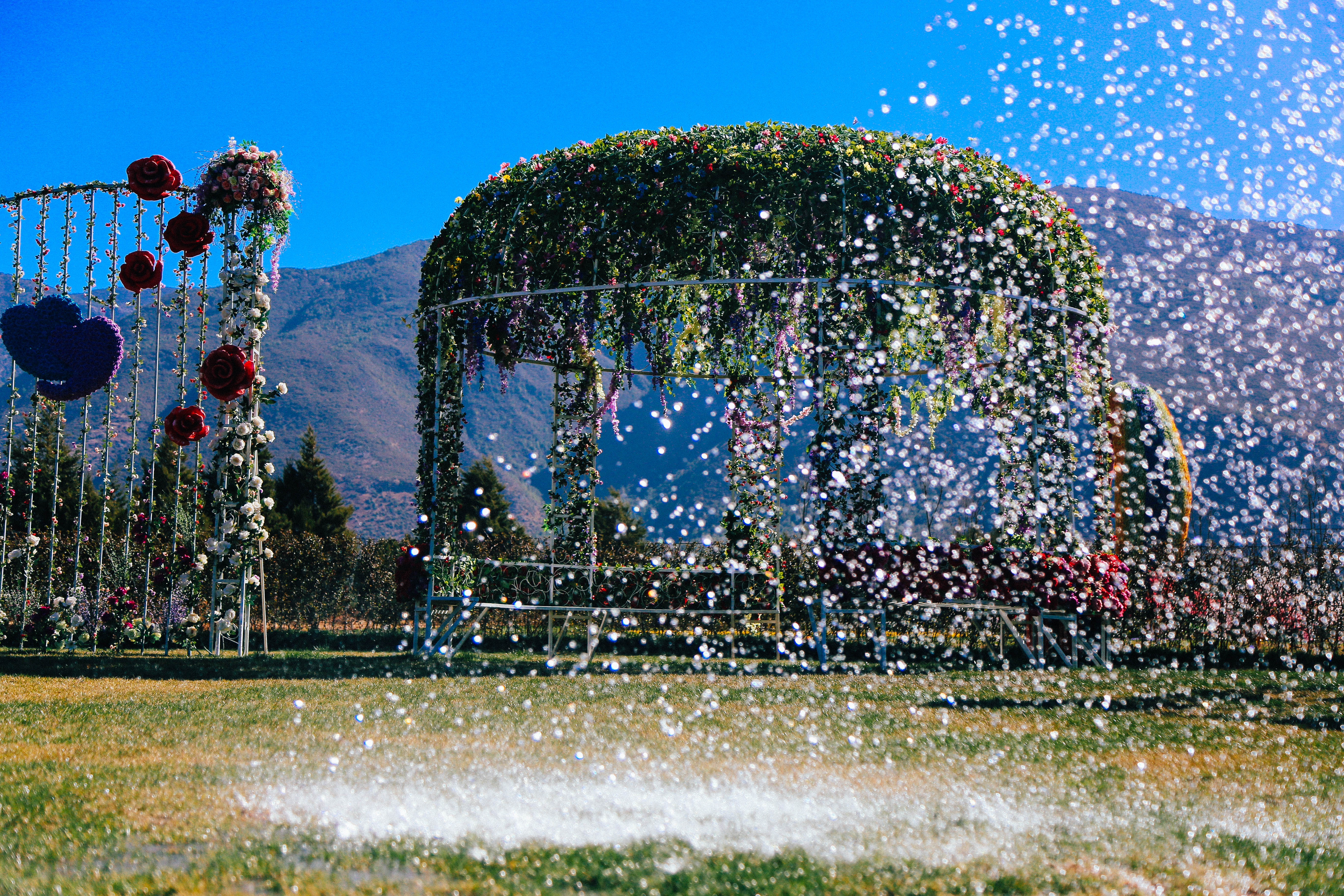 丽江雪山玫瑰庄园景区 大门票