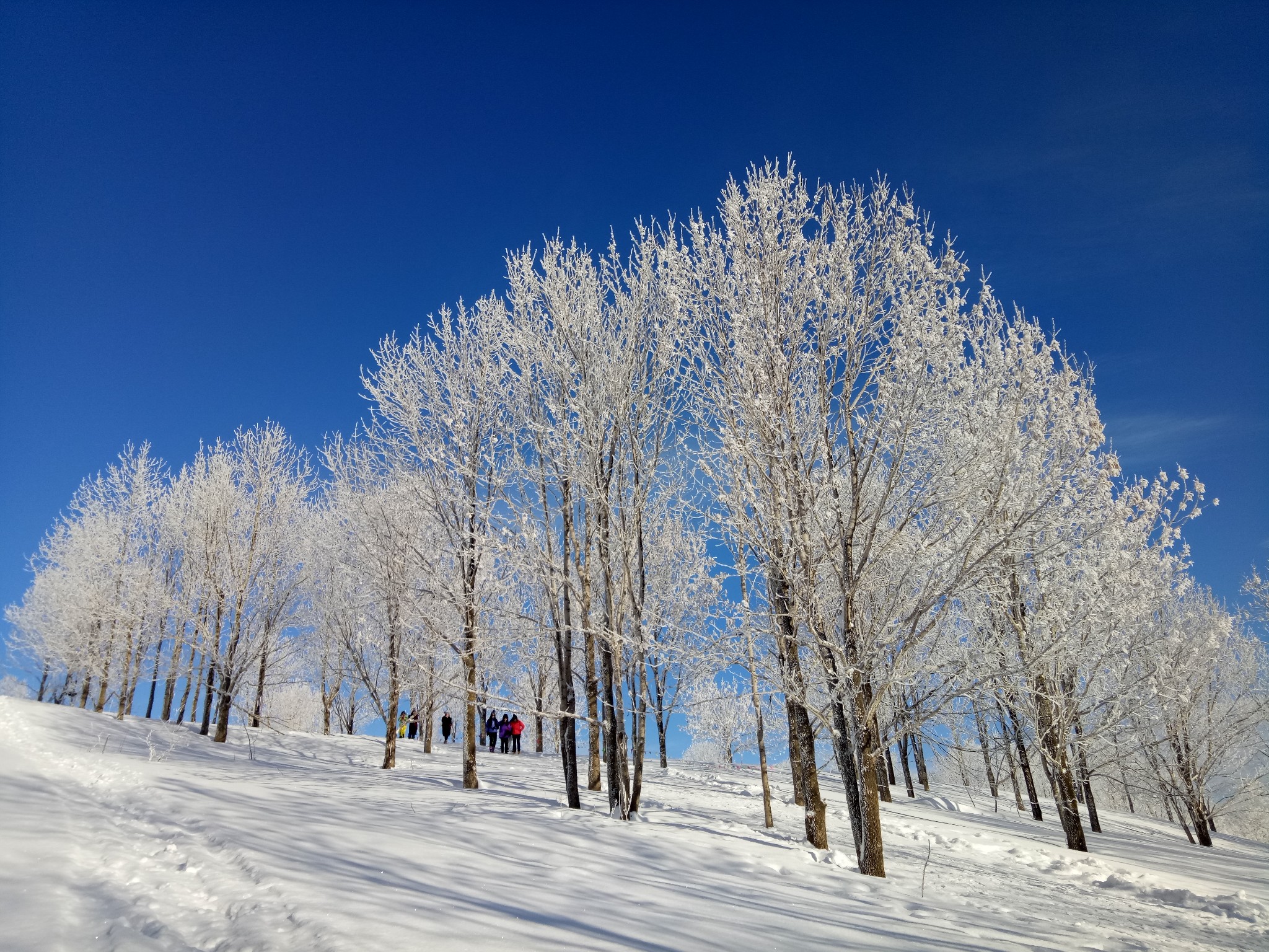 雪鄉自助遊攻略