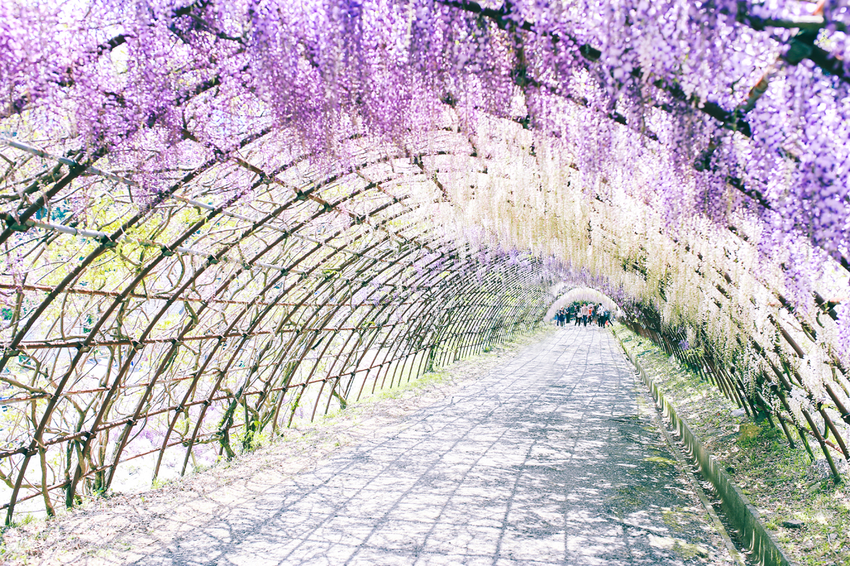 北九州景点介绍 北九州旅游景点 北九州景点推荐 马蜂窝