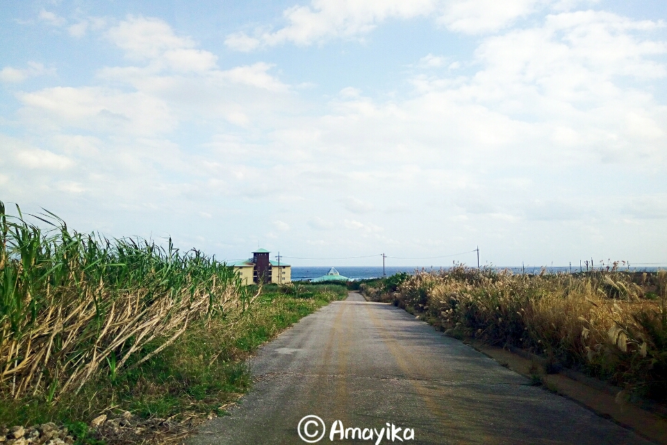 札幌自助遊攻略