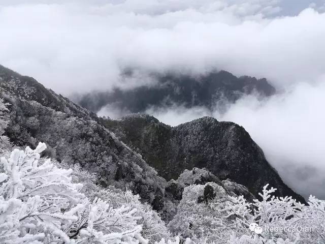 三月峨眉行,峨眉山旅遊攻略 - 馬蜂窩