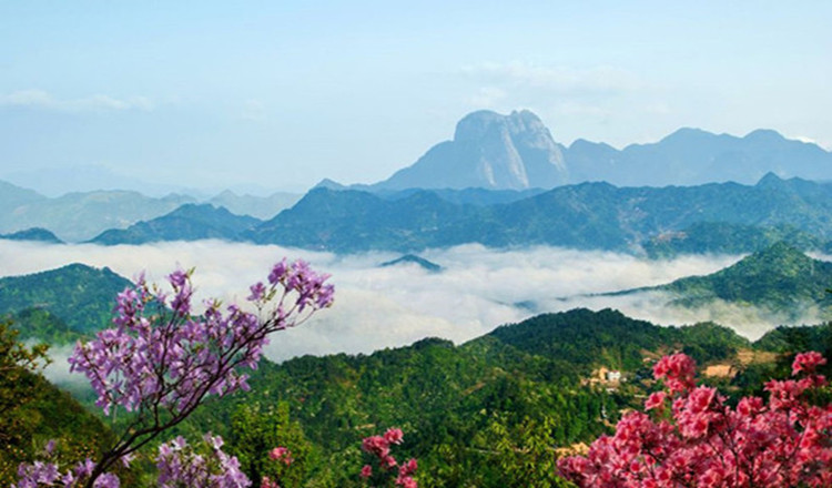 合肥巢湖银屏山 仙人洞 安徽巢湖银屏山景区 银屏山电子票(赏奇花牡丹