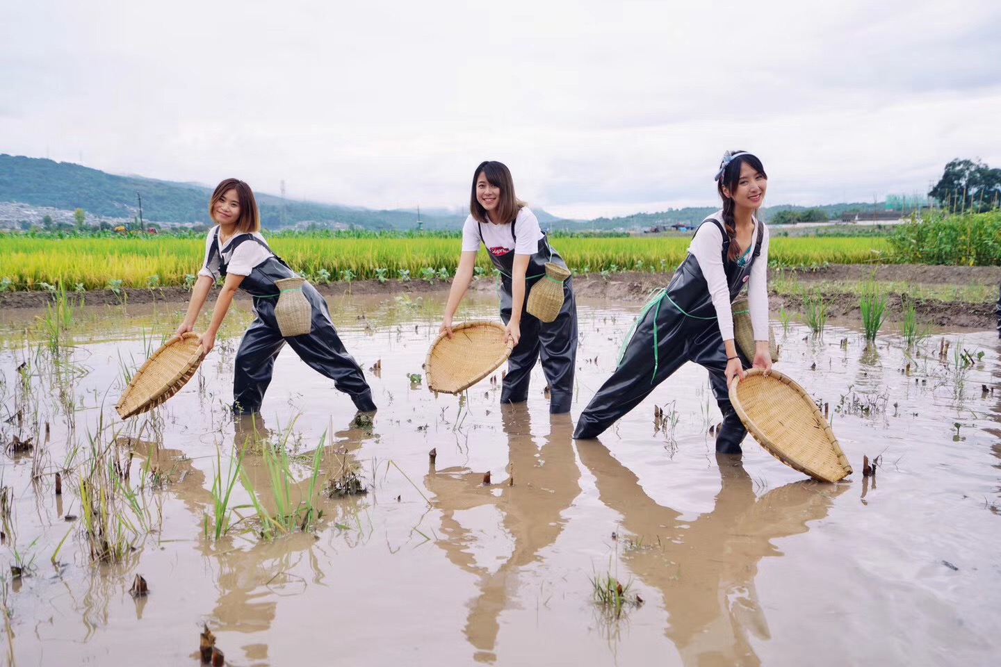 wKgBZ1nJUZqABiJmAATAg2Cwxp497.jpeg?imageView2%2F2%2Fw%2F680%2Fq%2F90%7CimageMogr2%2Fstrip%2Fquality%2F90