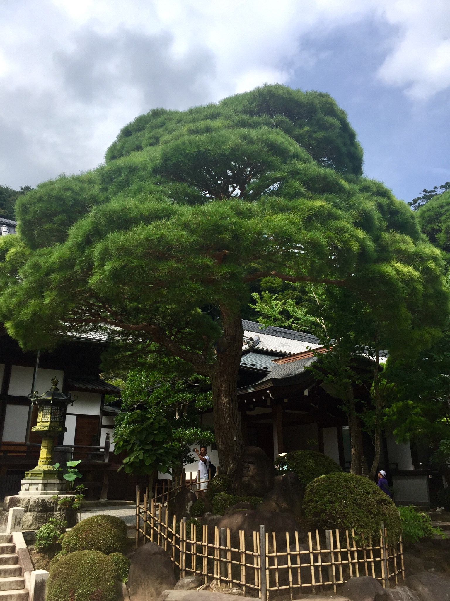 名古屋自助遊攻略