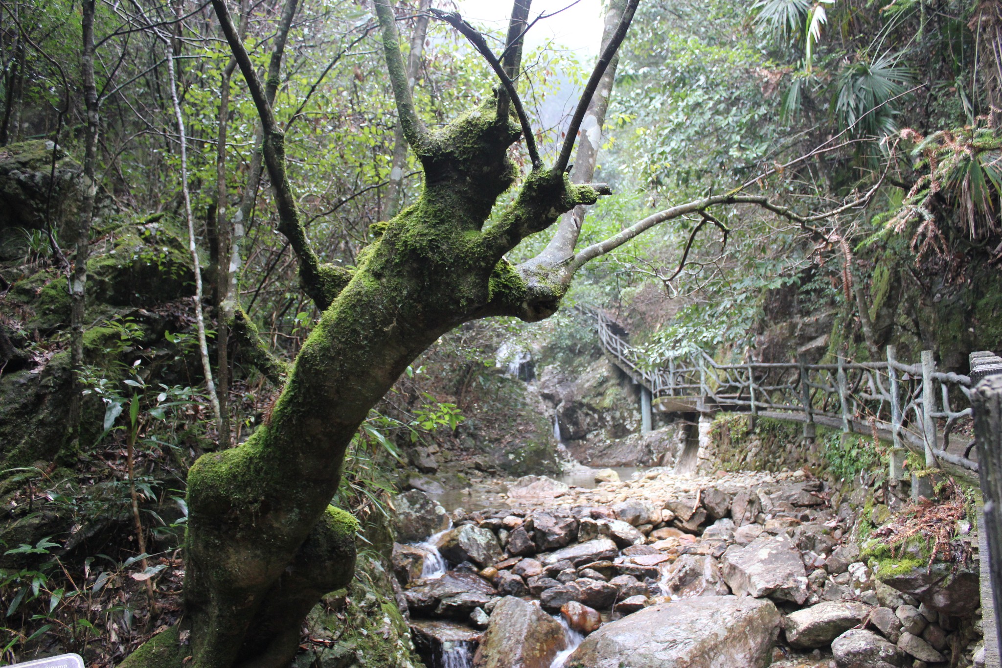 三清山自助遊攻略