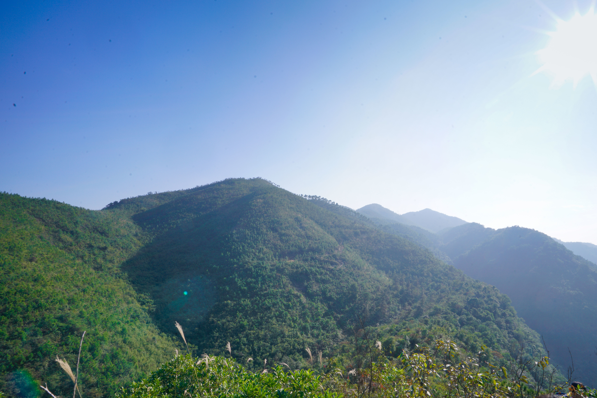 佛山高明茶山只为拍照不为鸡之旅