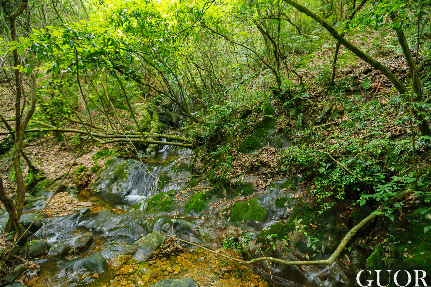 千島湖自助遊攻略