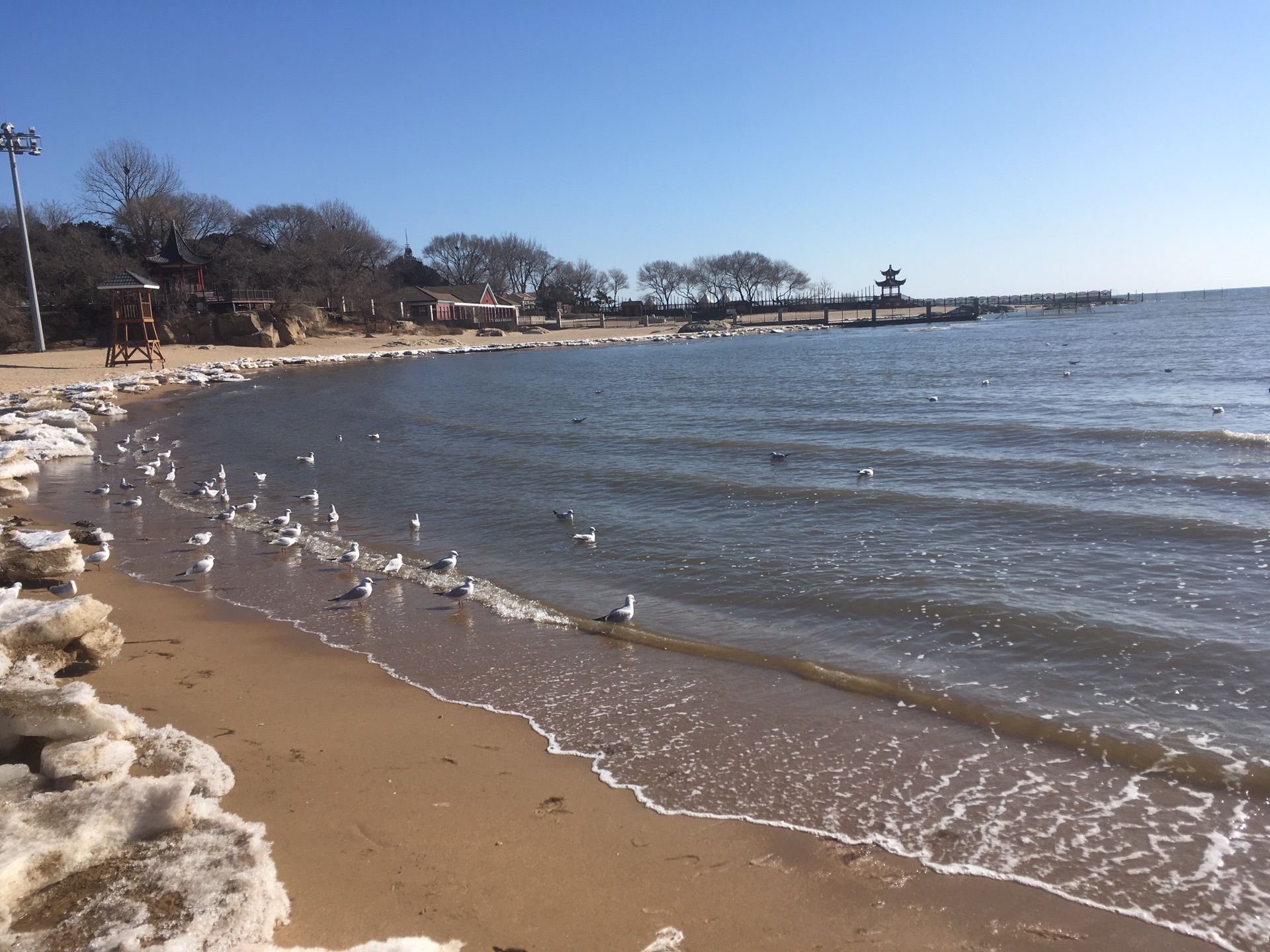 01.25 河北秦皇島 北戴河 山海關