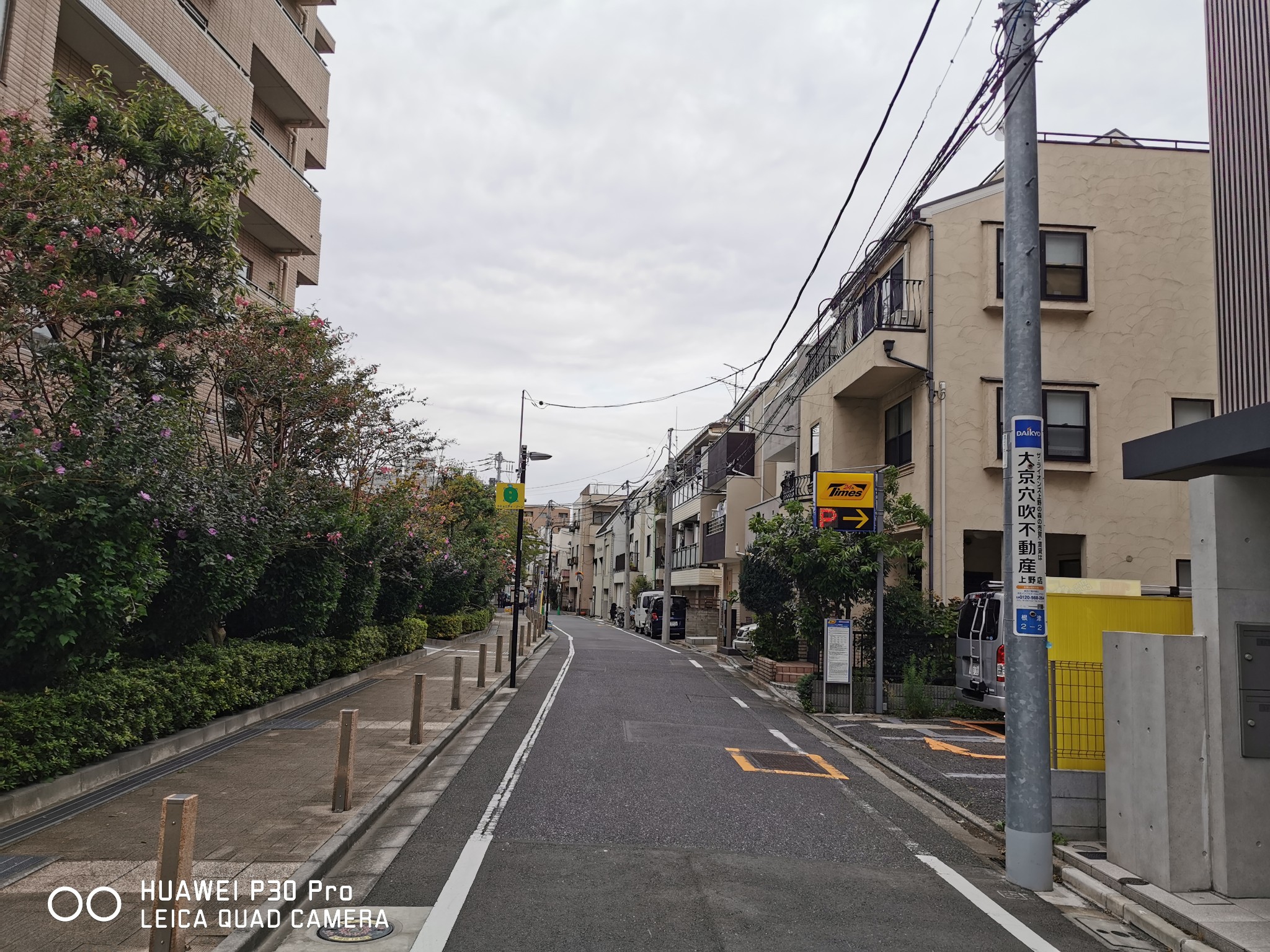 東京自助遊攻略