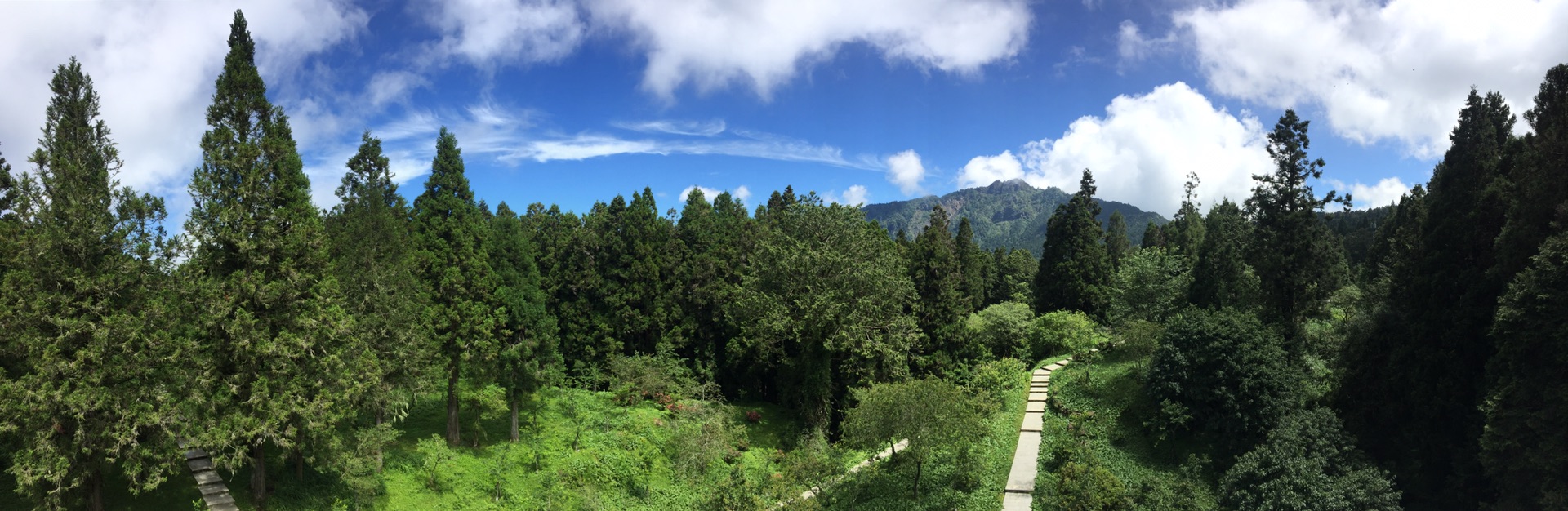 阿裡山自助遊攻略