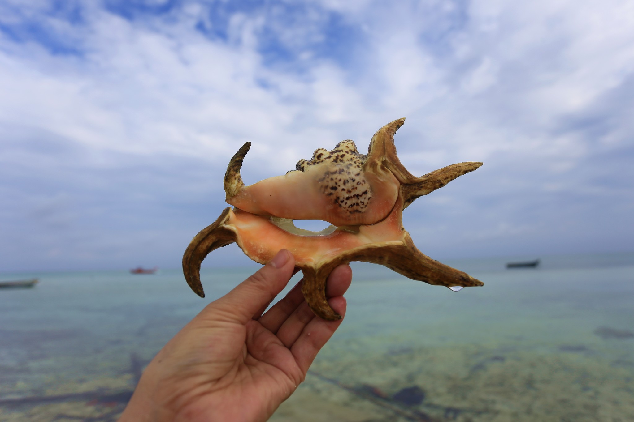 西沙群島自助遊攻略