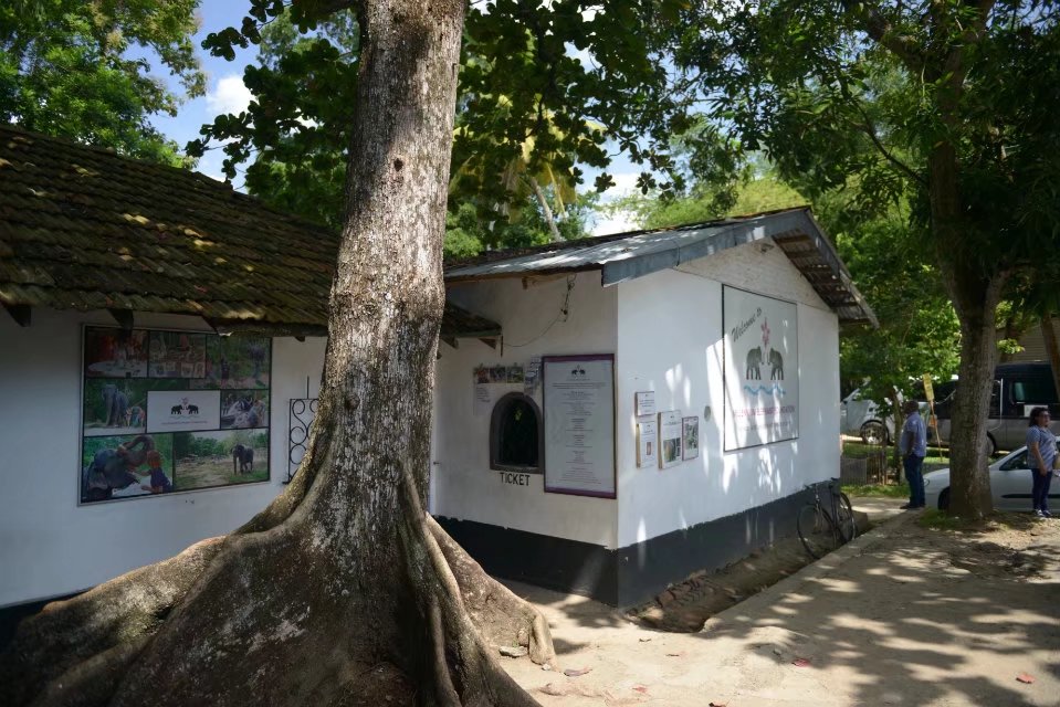 这就是山寨大象孤儿院的大门