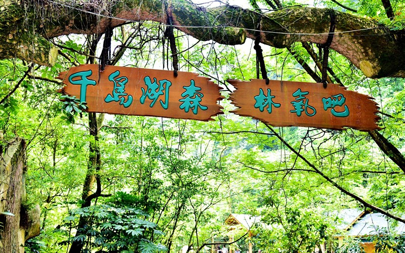 杭州千岛湖森林氧吧景区电子票