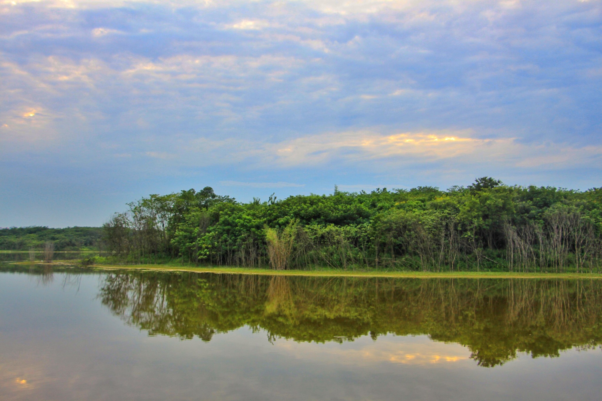 青龍湖溼地公園