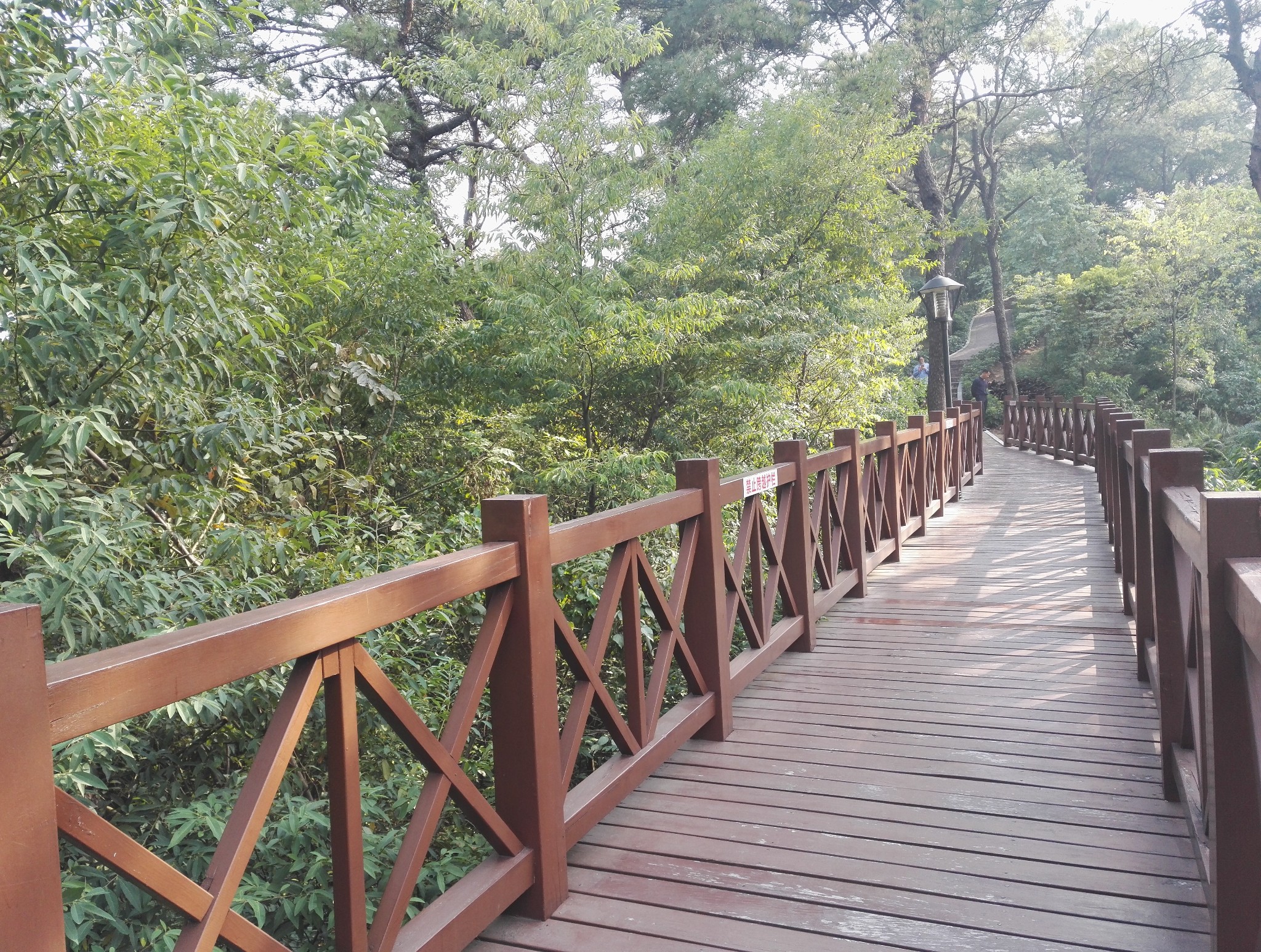 小周日飞鹅岭森林公园游,花都旅游攻略 - 马蜂窝