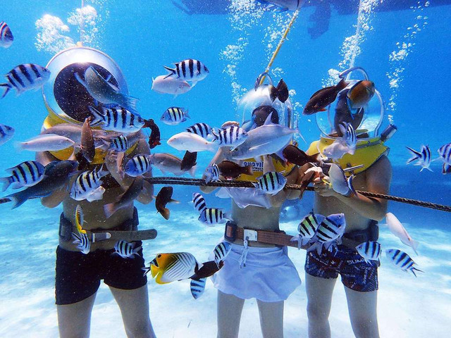 海底漫步,让水下相机定格你的精彩瞬间