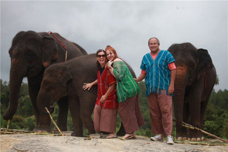 干货!清迈大象保护营全攻略
