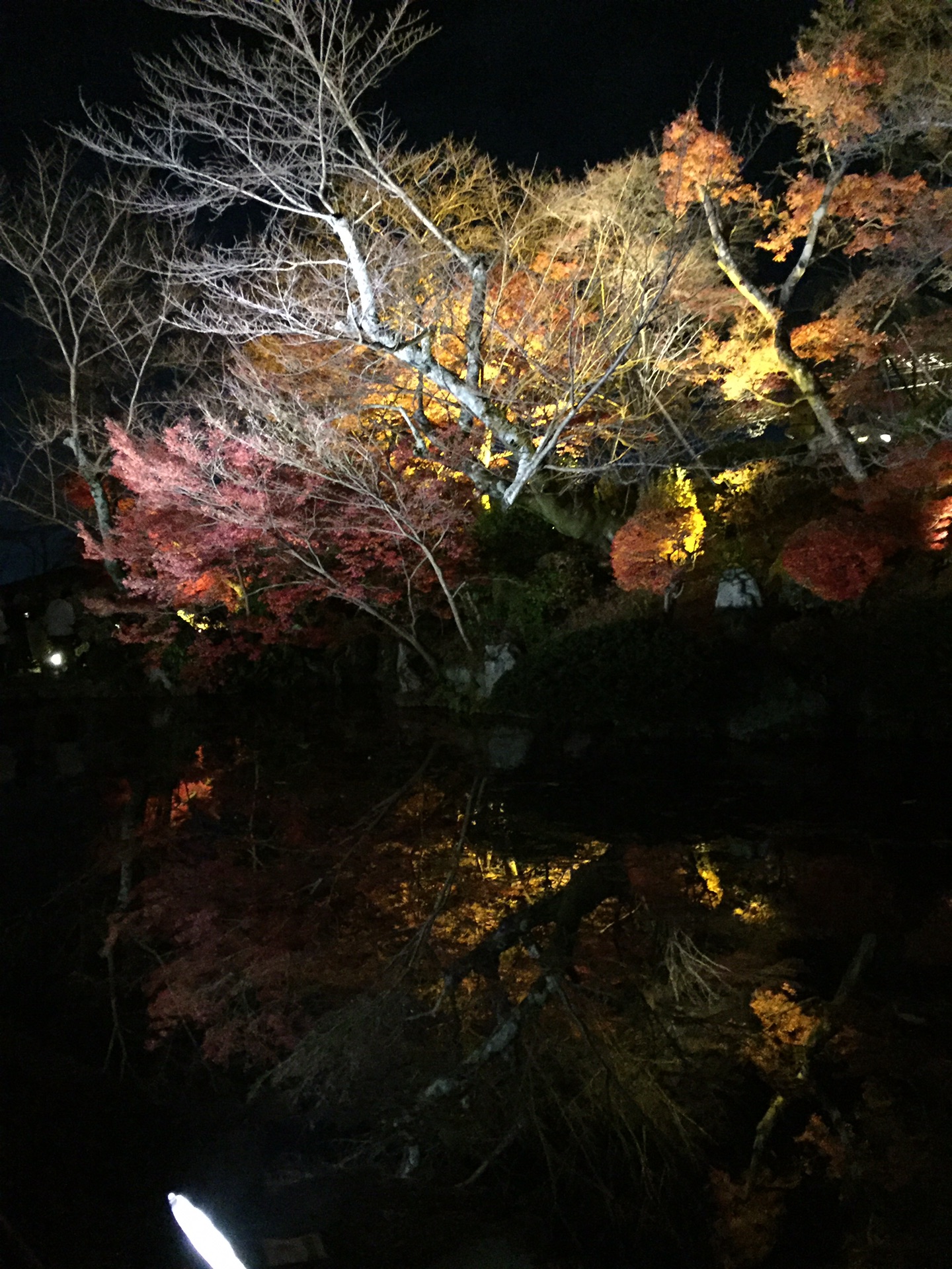 京都自助遊攻略